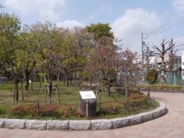実のなる木公園