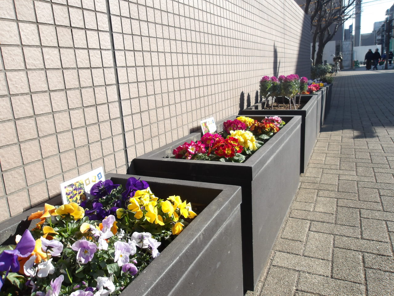 花壇の様子