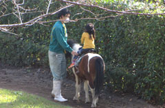 ポニー乗馬の様子の写真