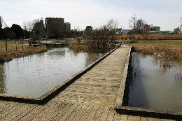 トンボ池の木道の画像