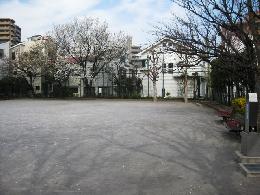 公園内の様子