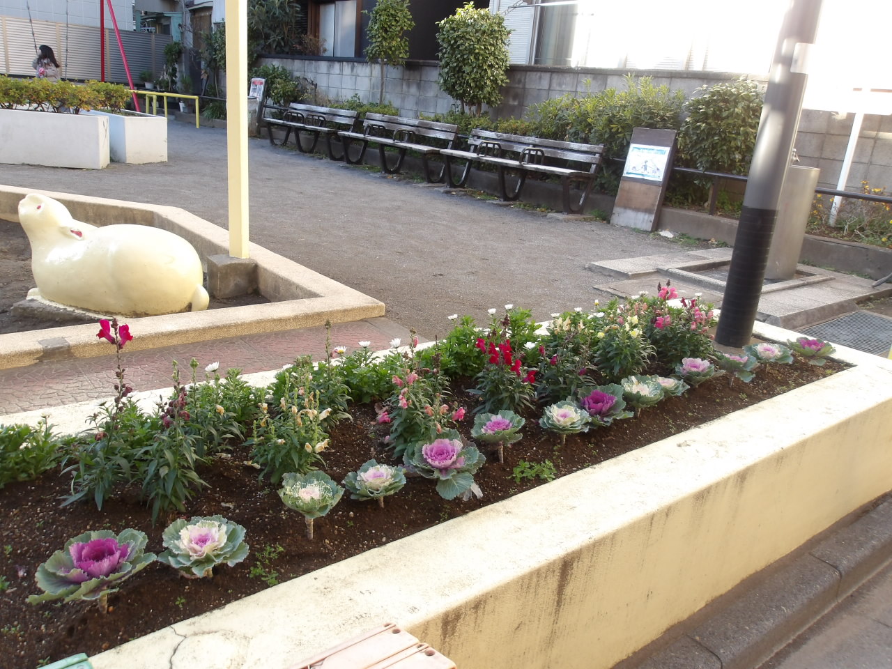 花壇写真