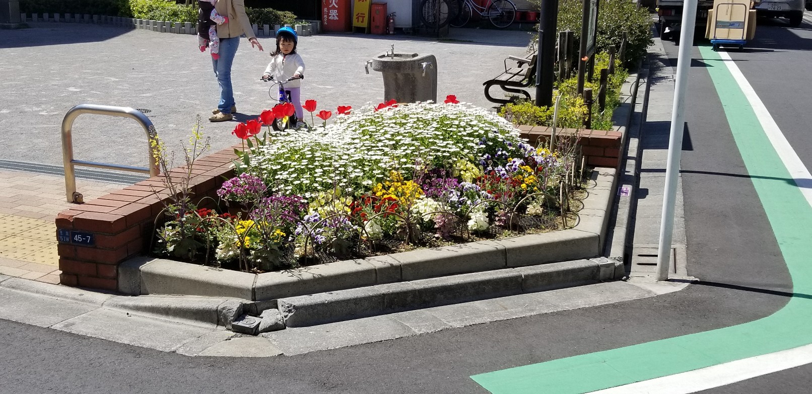 花壇の様子