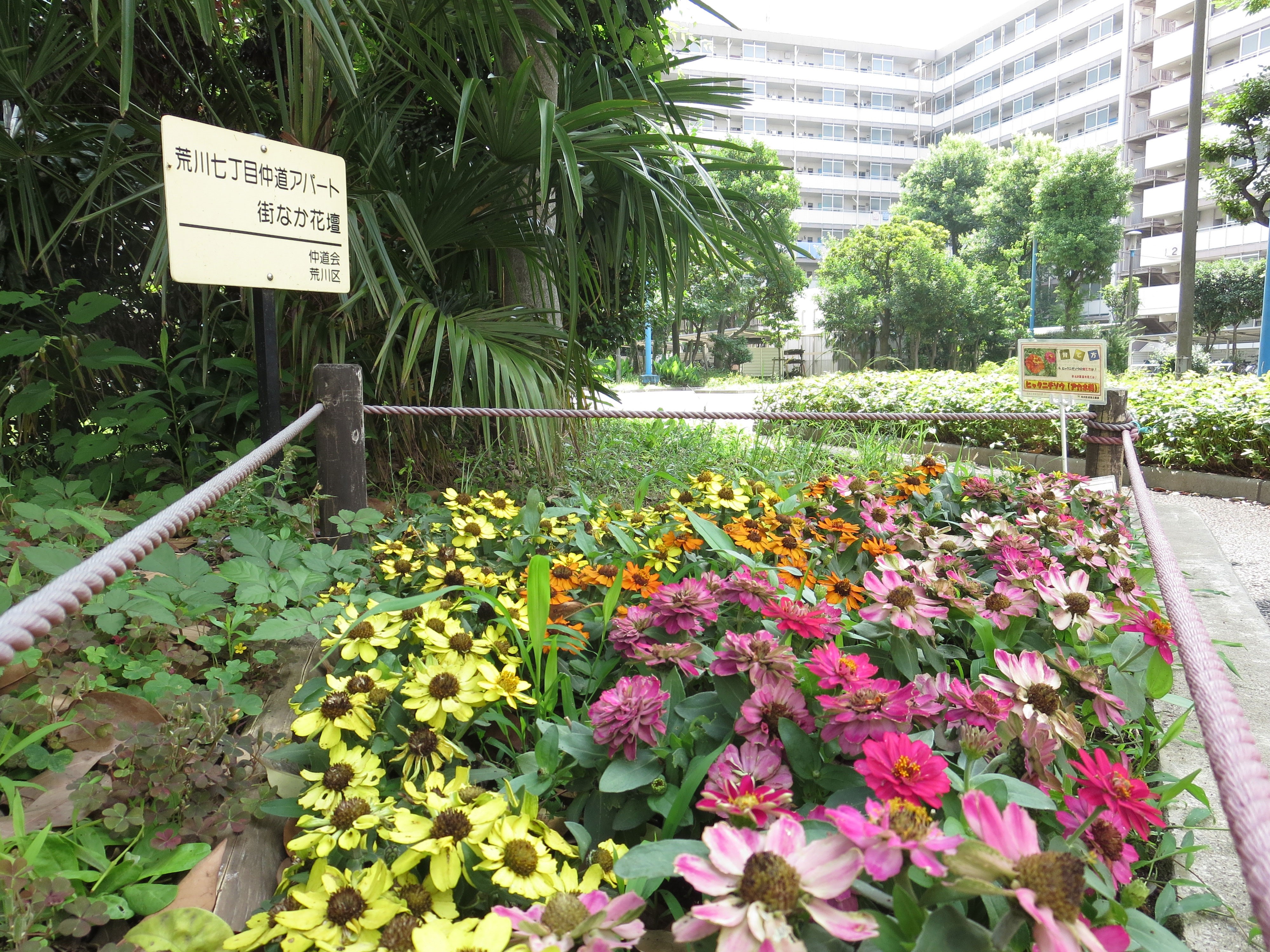 花壇の様子