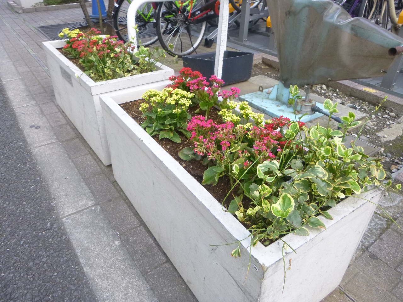 花壇の写真