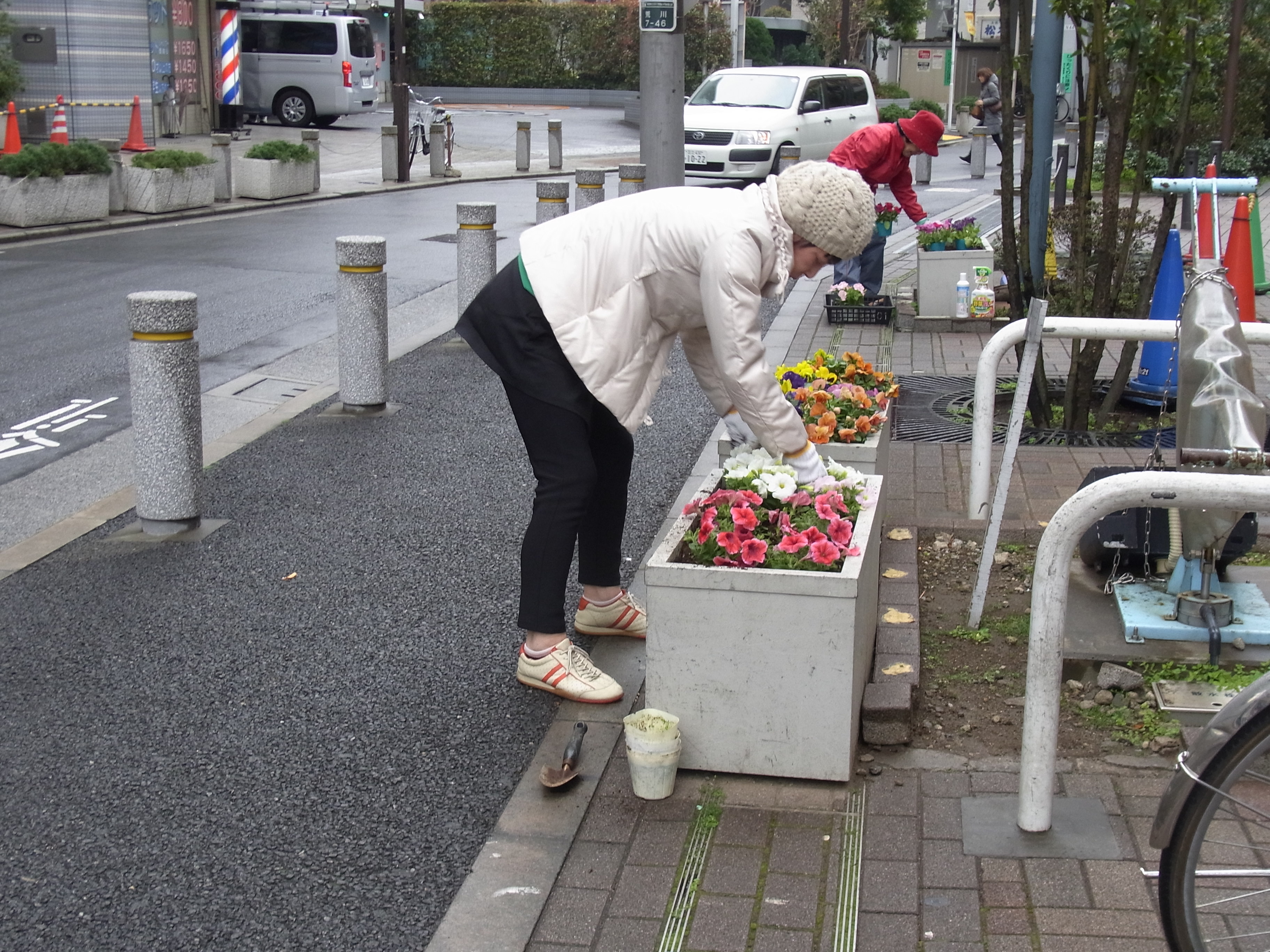 花壇の様子