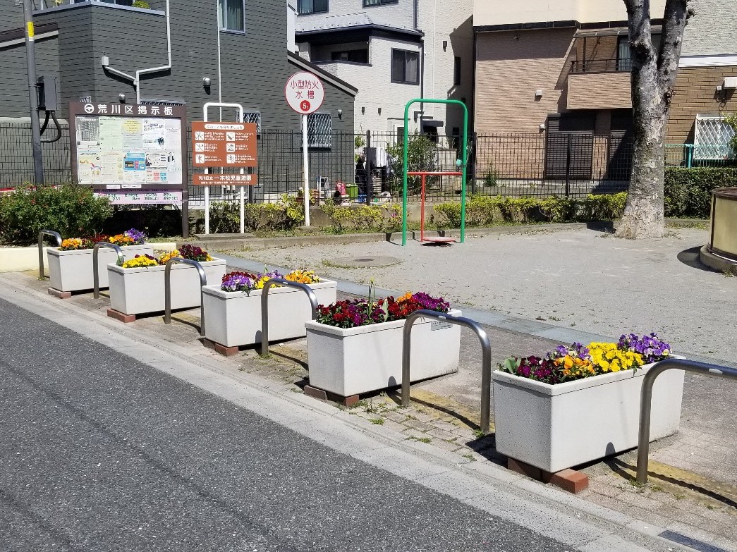 花壇の様子