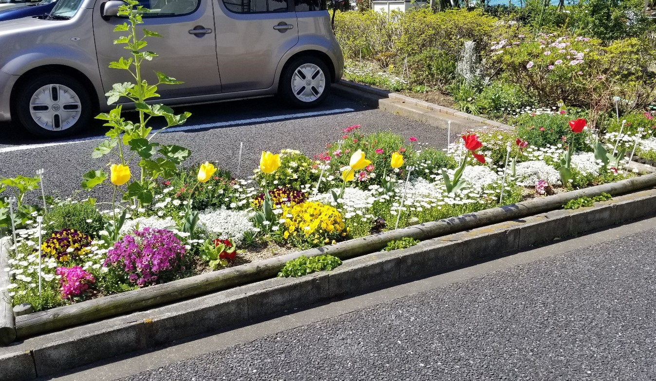 花壇の様子