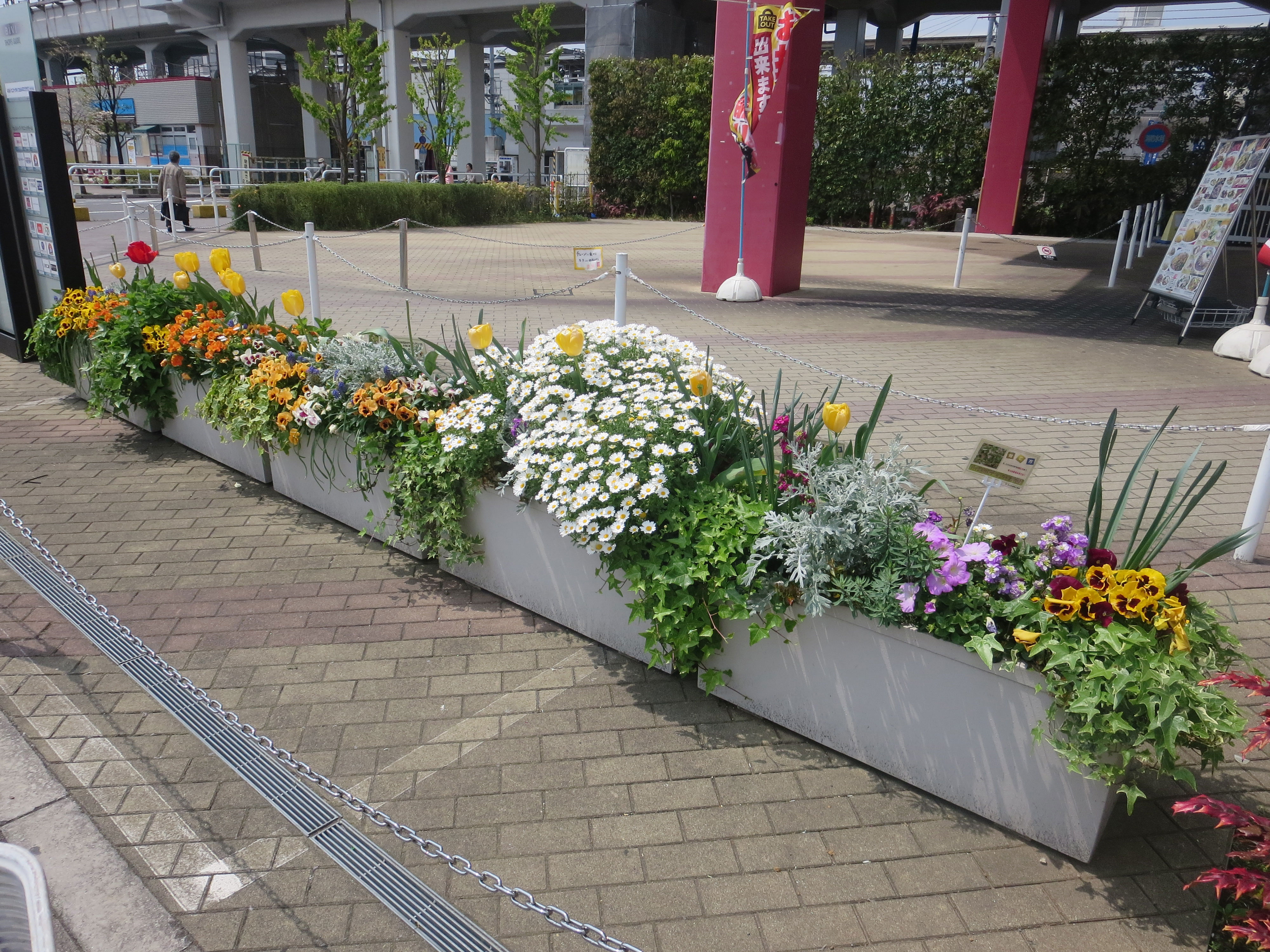 花壇の様子