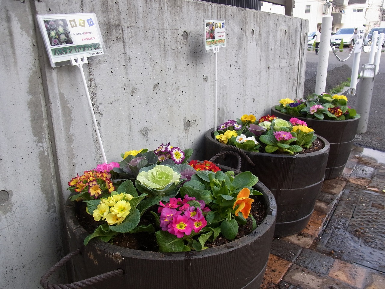 花壇の様子