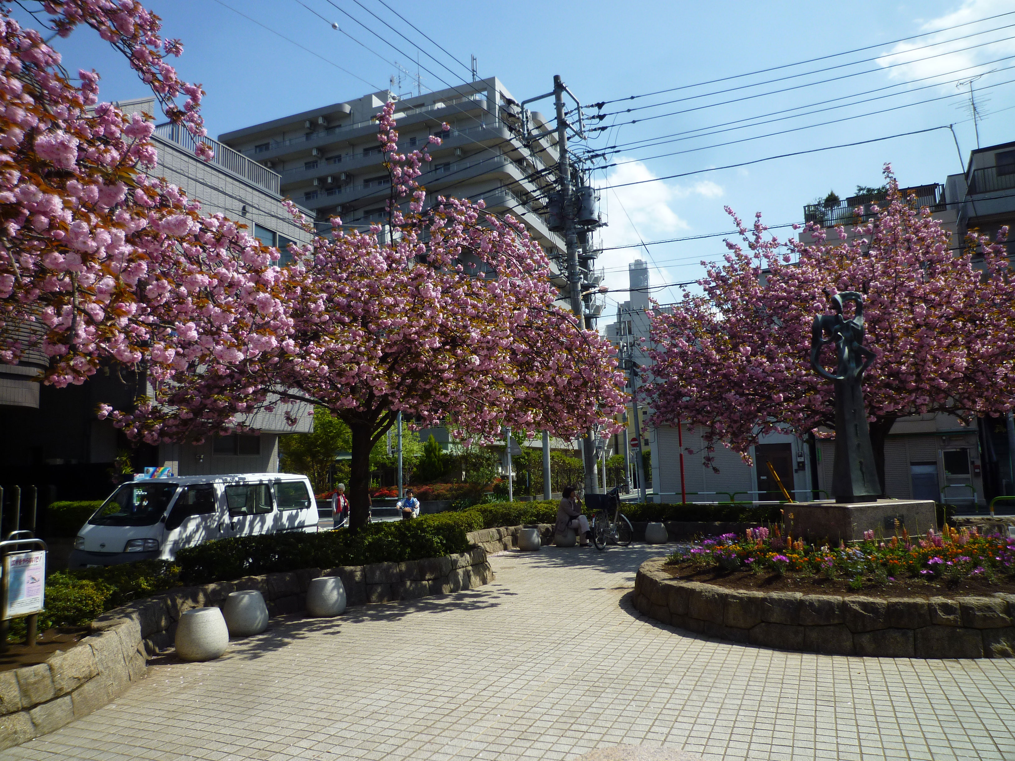 園内の桜の様子