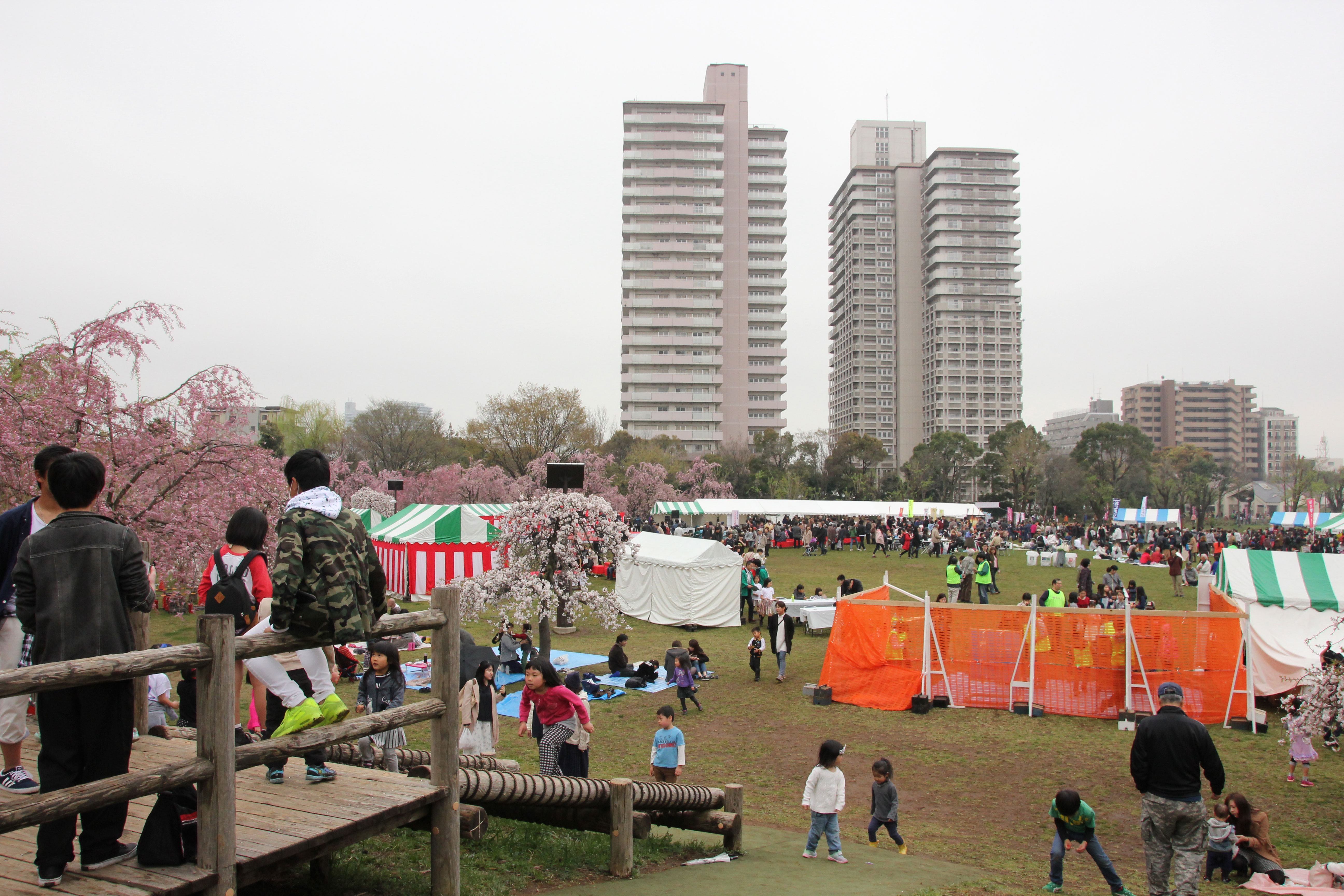 尾久の原公園シダレザクラ祭りの様子
