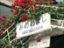 都電沿線のバラの写真