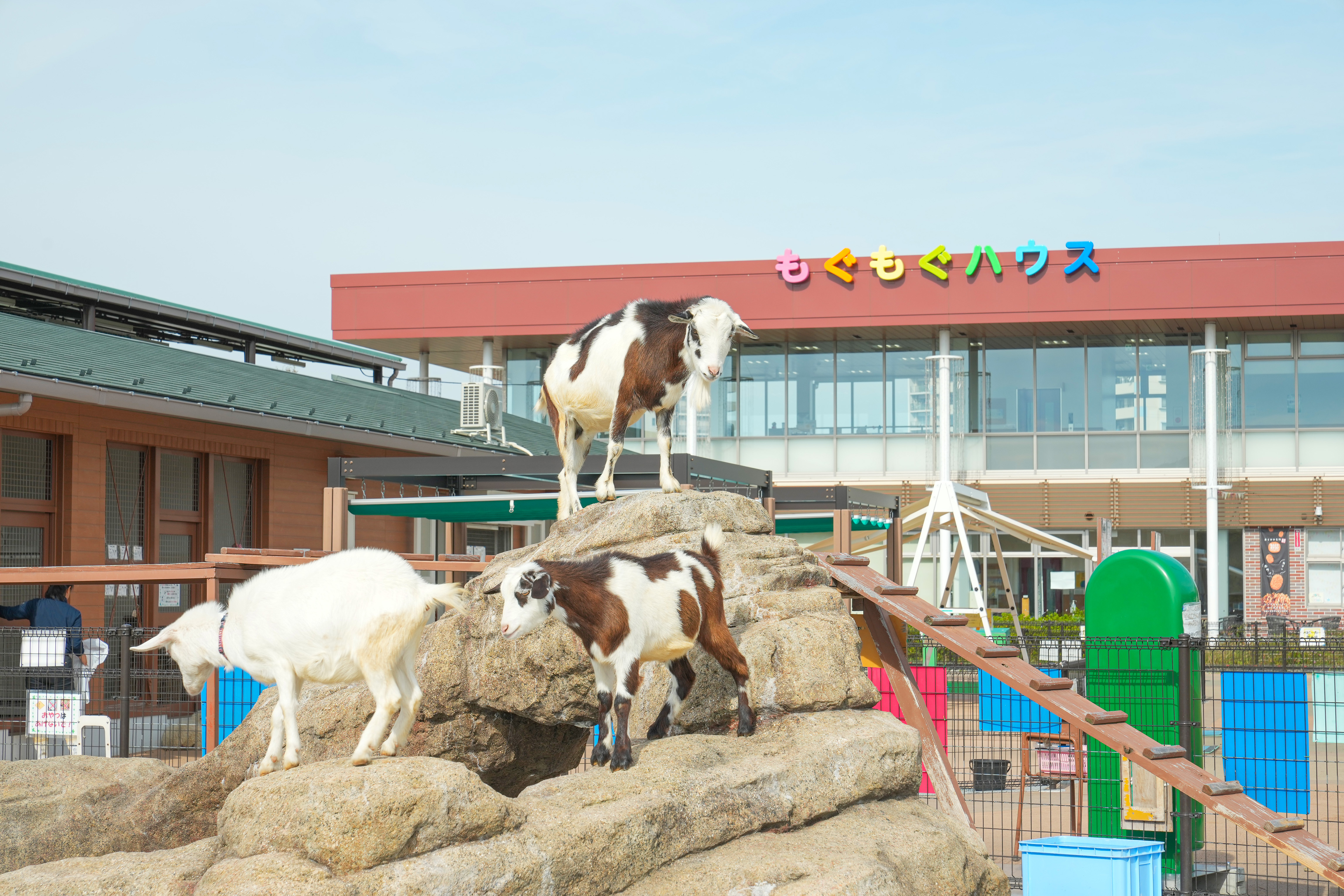 あらかわ遊園
