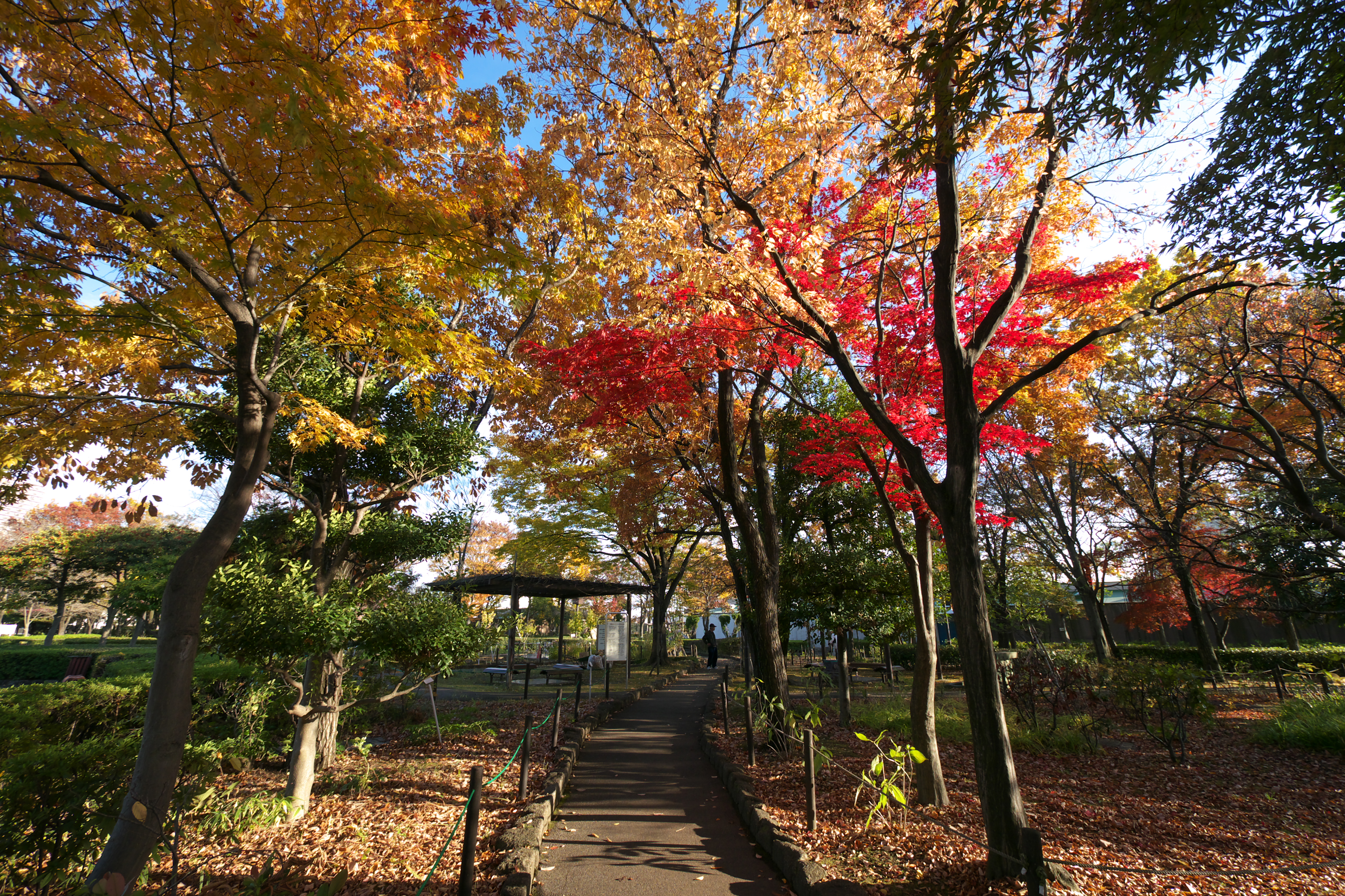 荒川自然公園