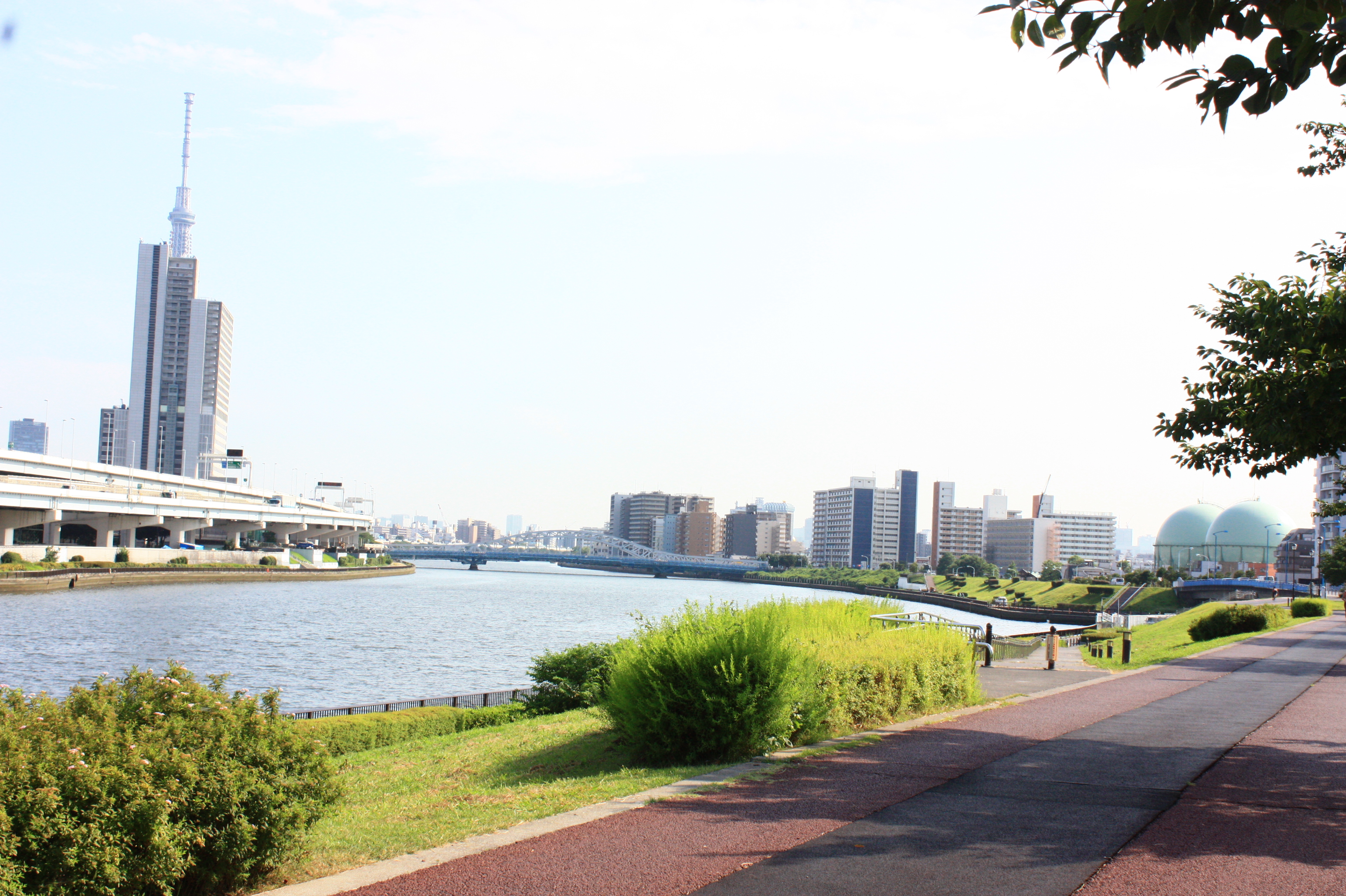 隅田川