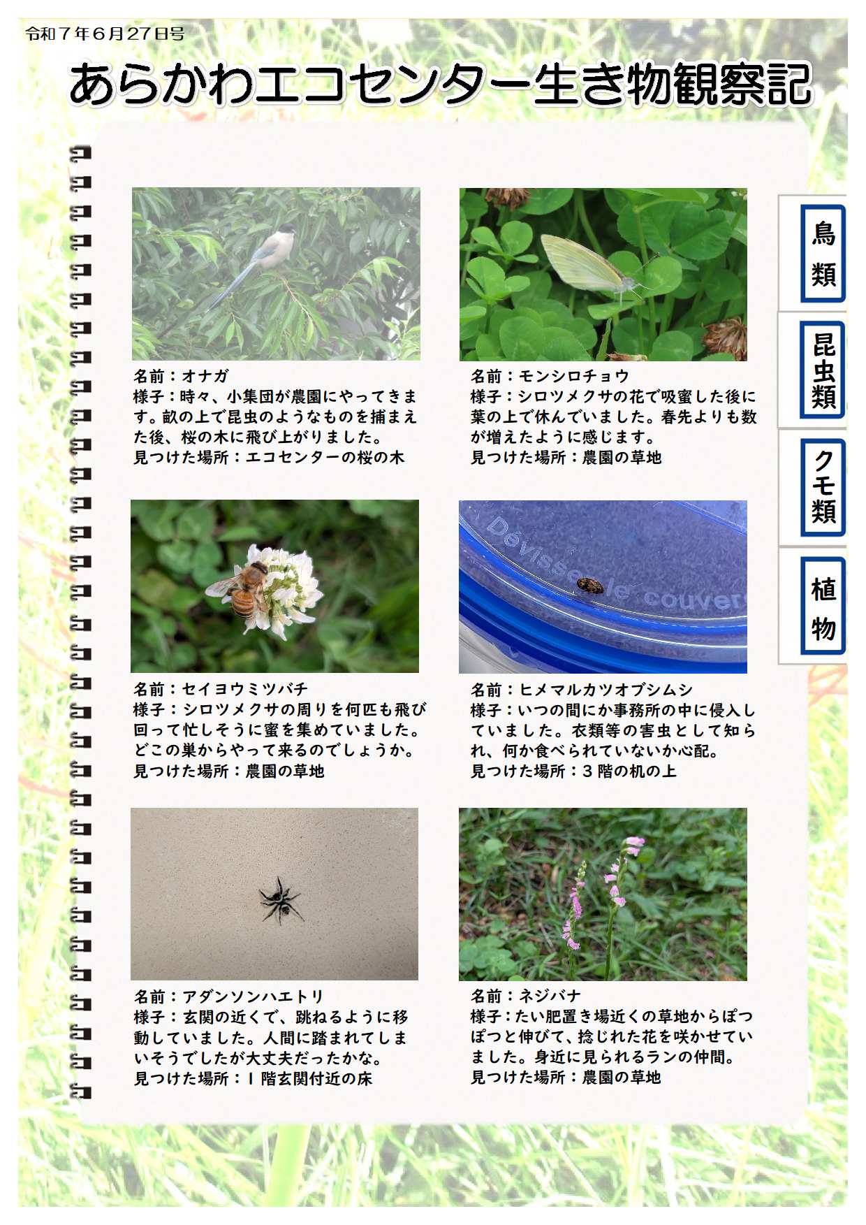 R070627ikimono