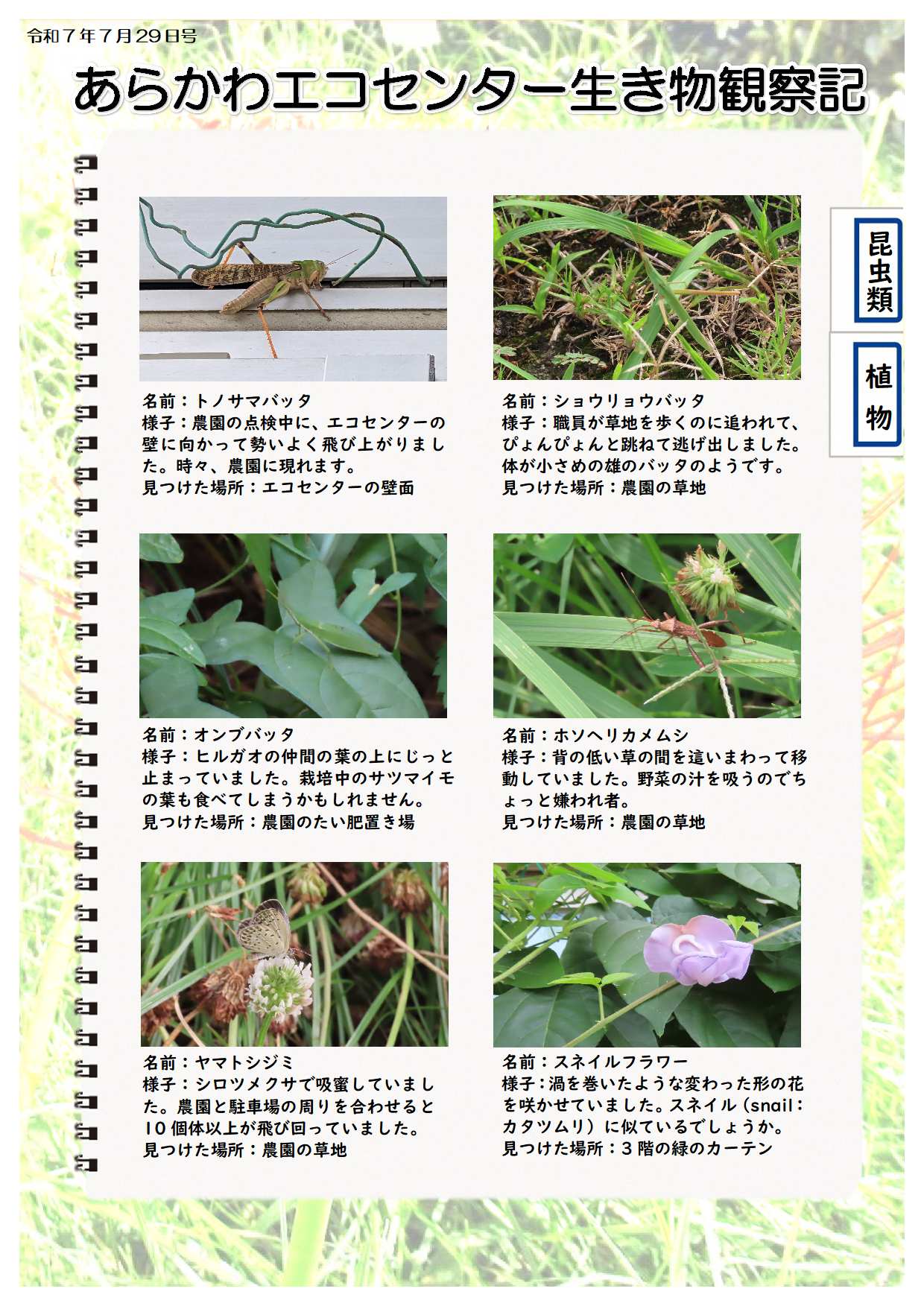 R070729ikimono