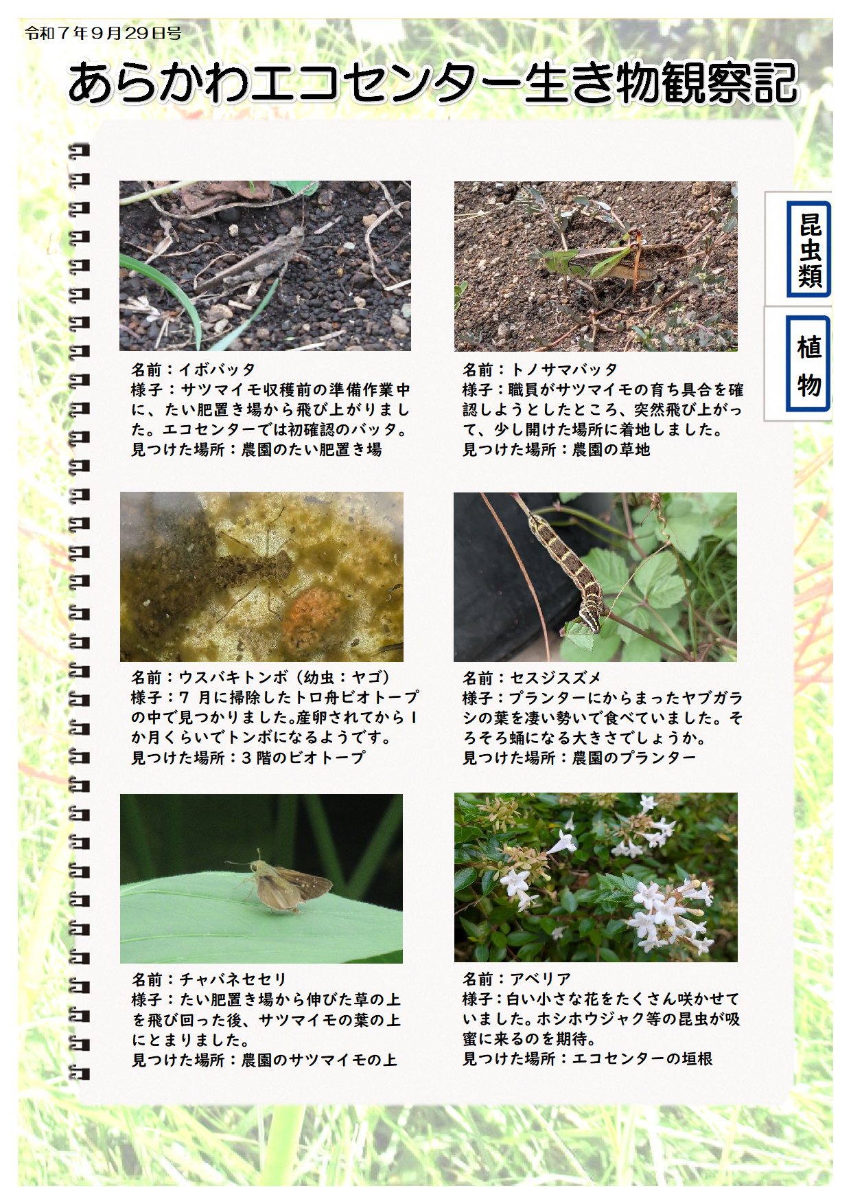 R070929ikimono3