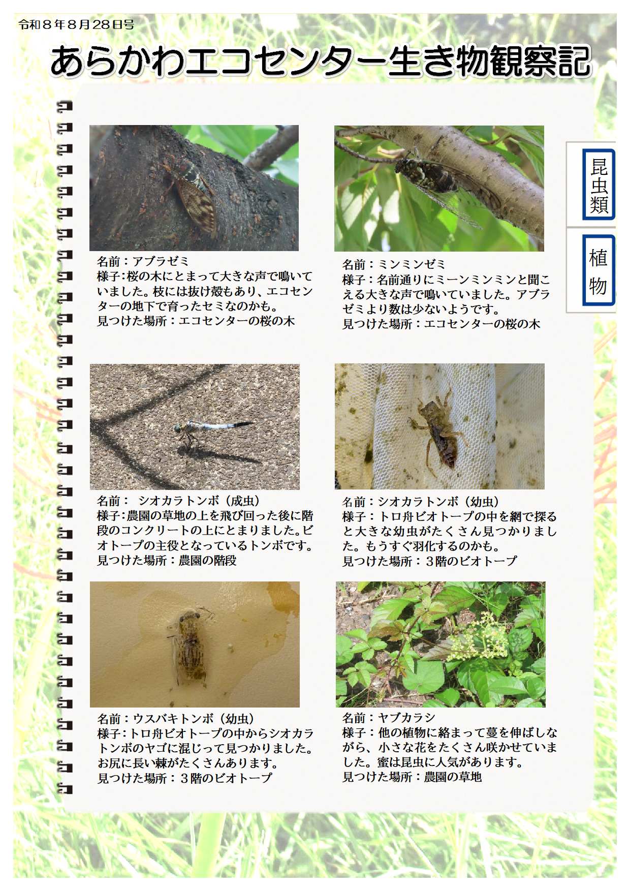 R080828ikimono