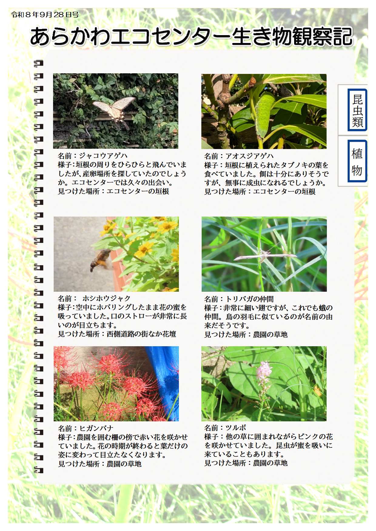 R080928ikimono