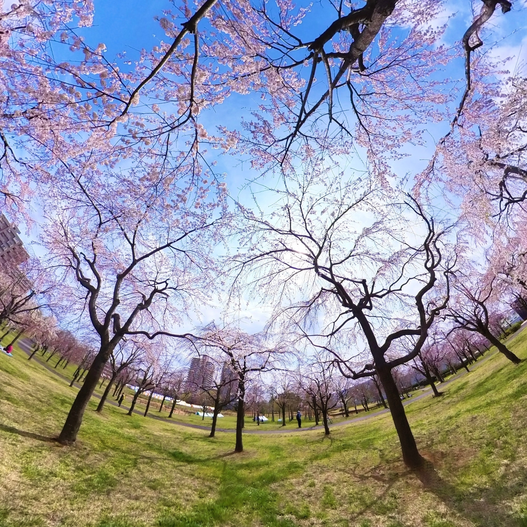 佳作(鵜飼さん)