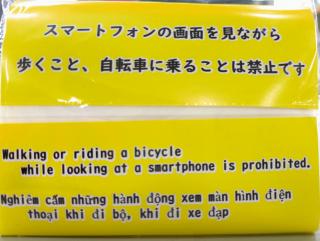 ポケットティッシュ裏