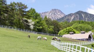 まきば公園