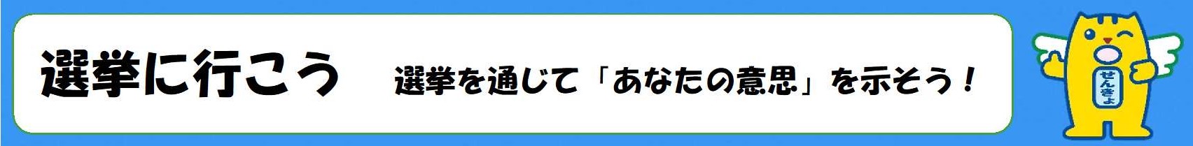 選挙に関する情報