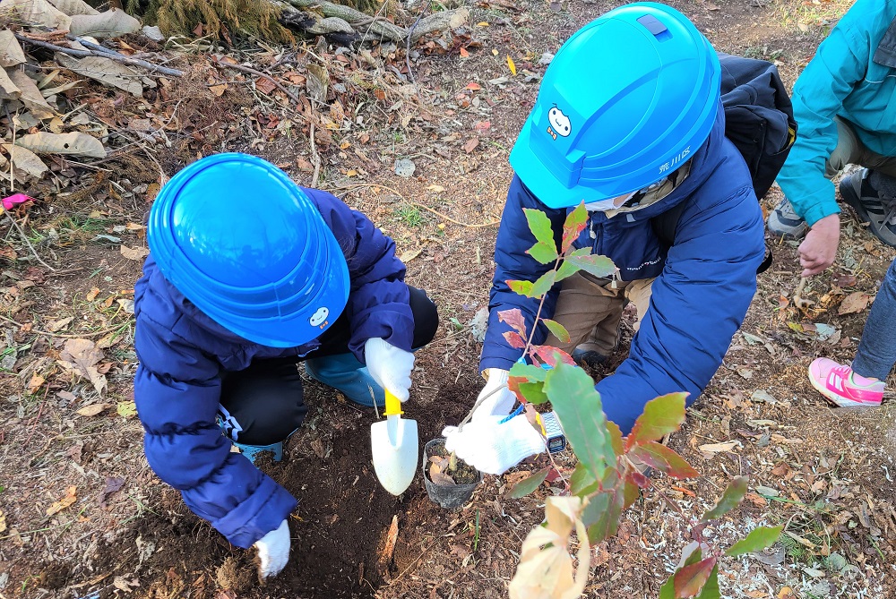 「あらかわの森」での植樹体験