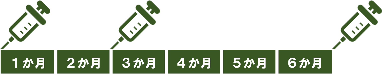 シルガード9（1回目の接種が15歳以上）の接種間隔