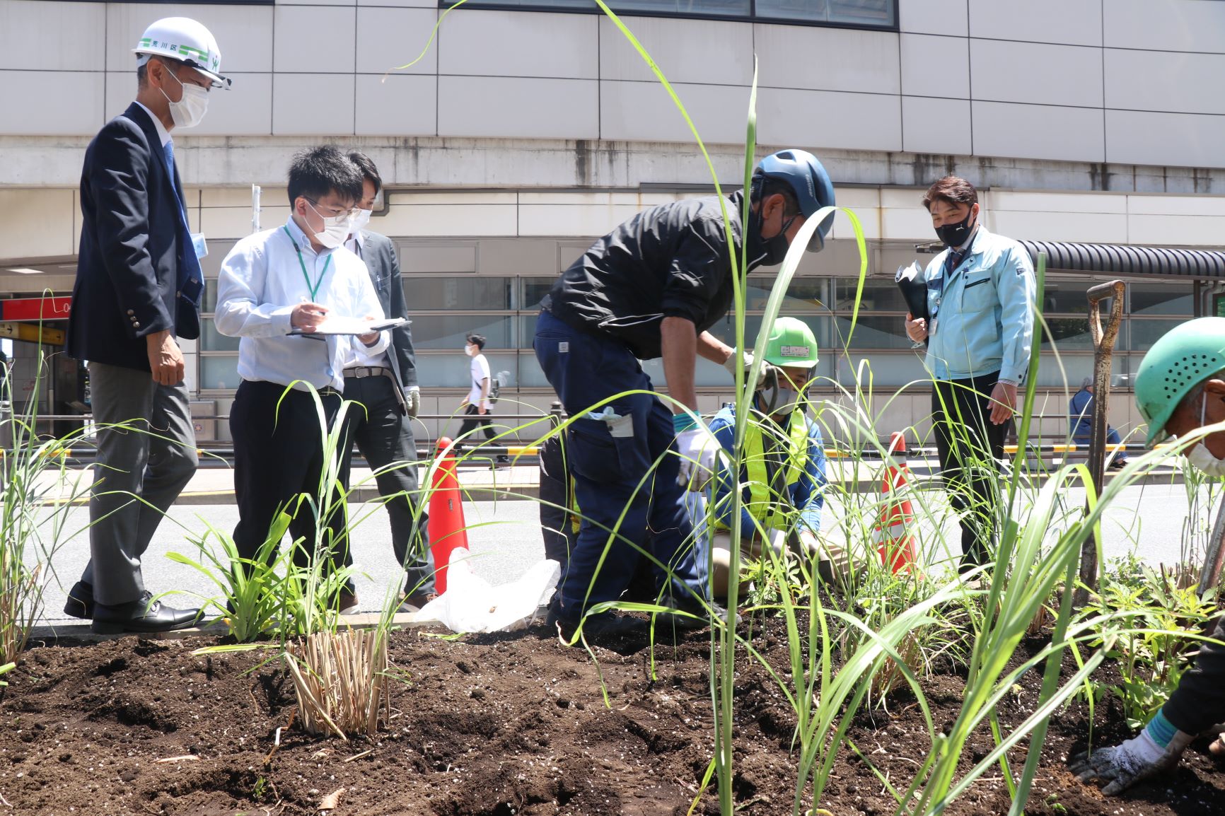 植え付けの様子2