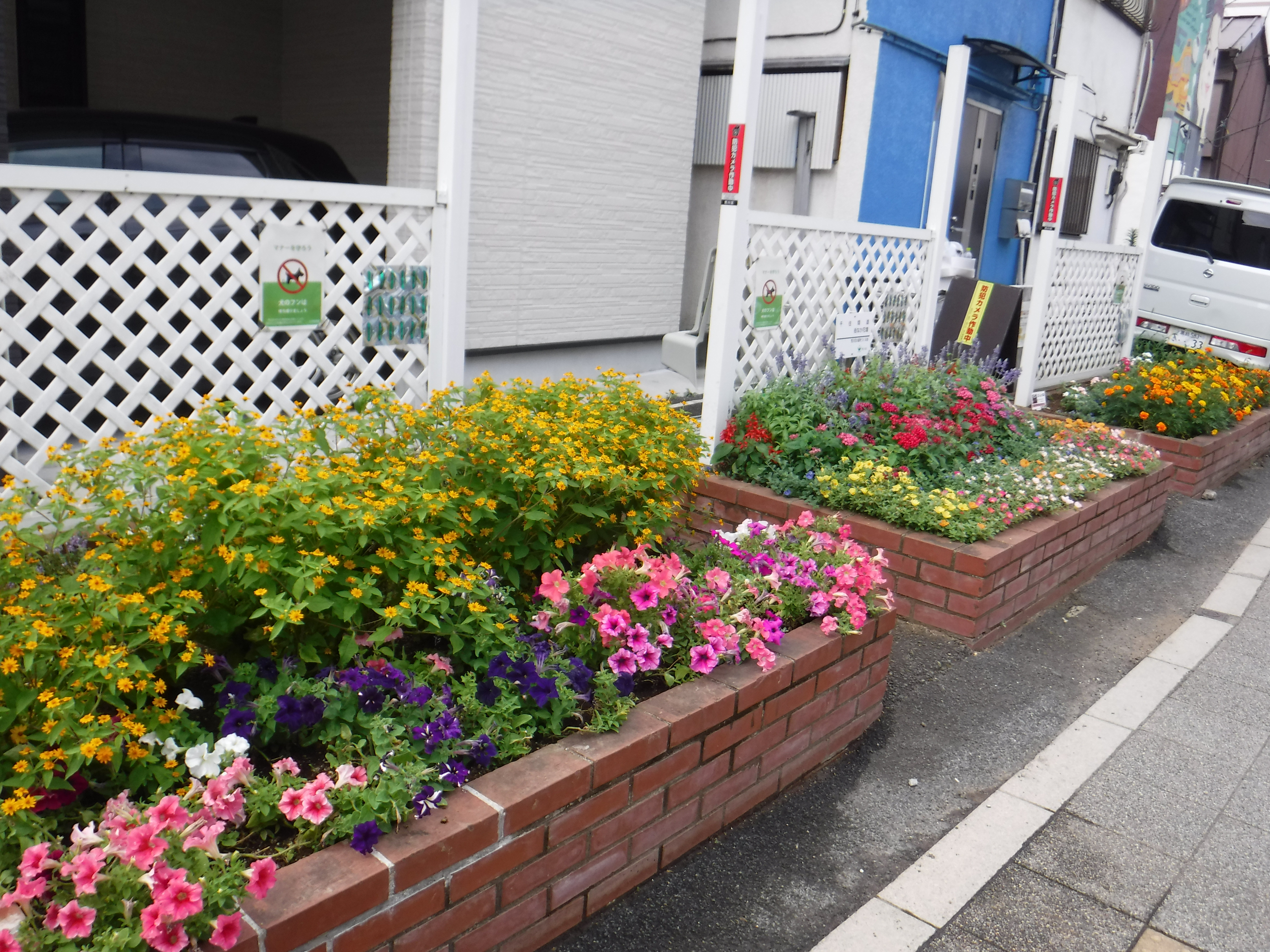 千住間道街なか花壇