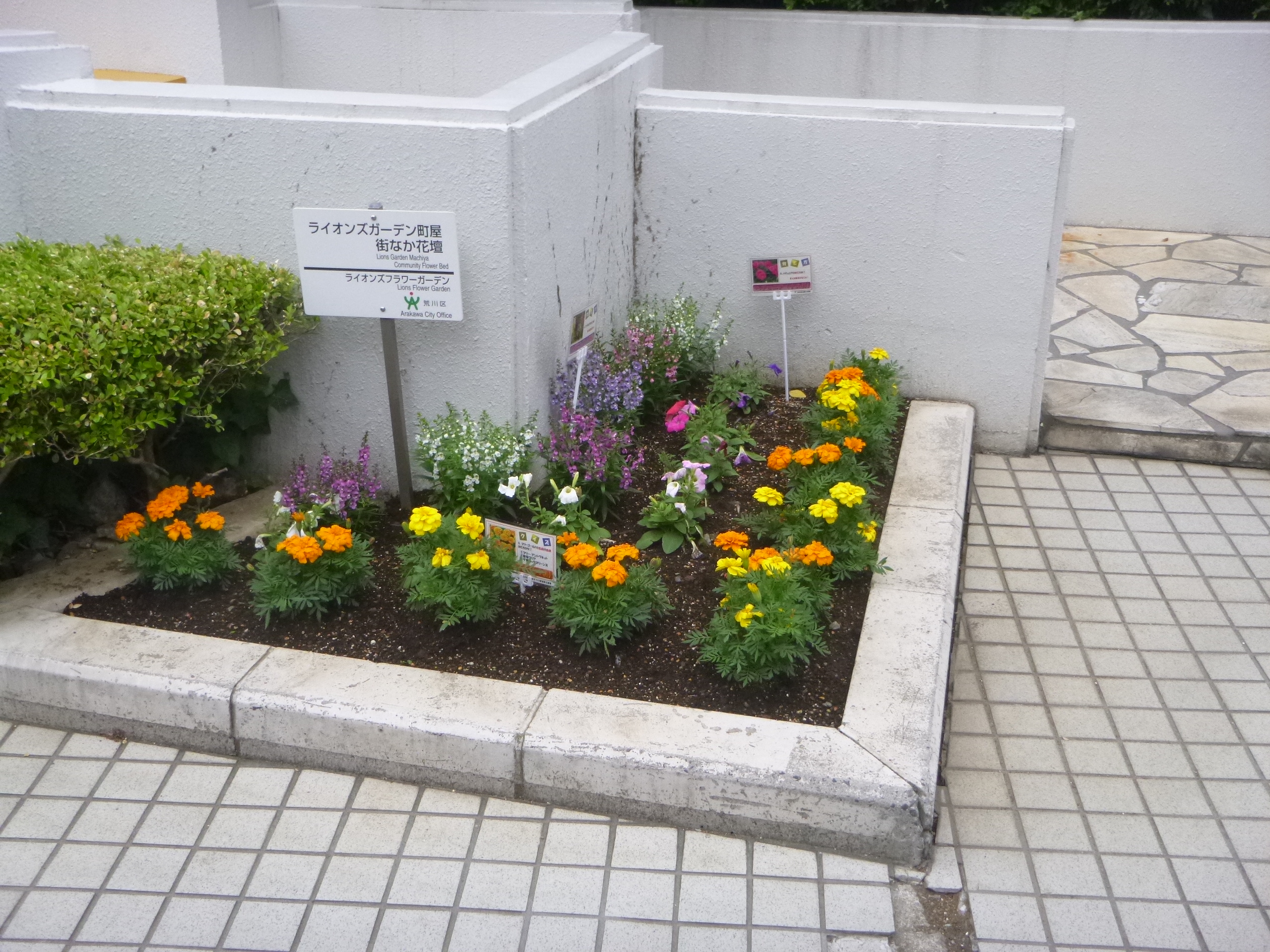 ライオンズガーデン町屋街なか花壇