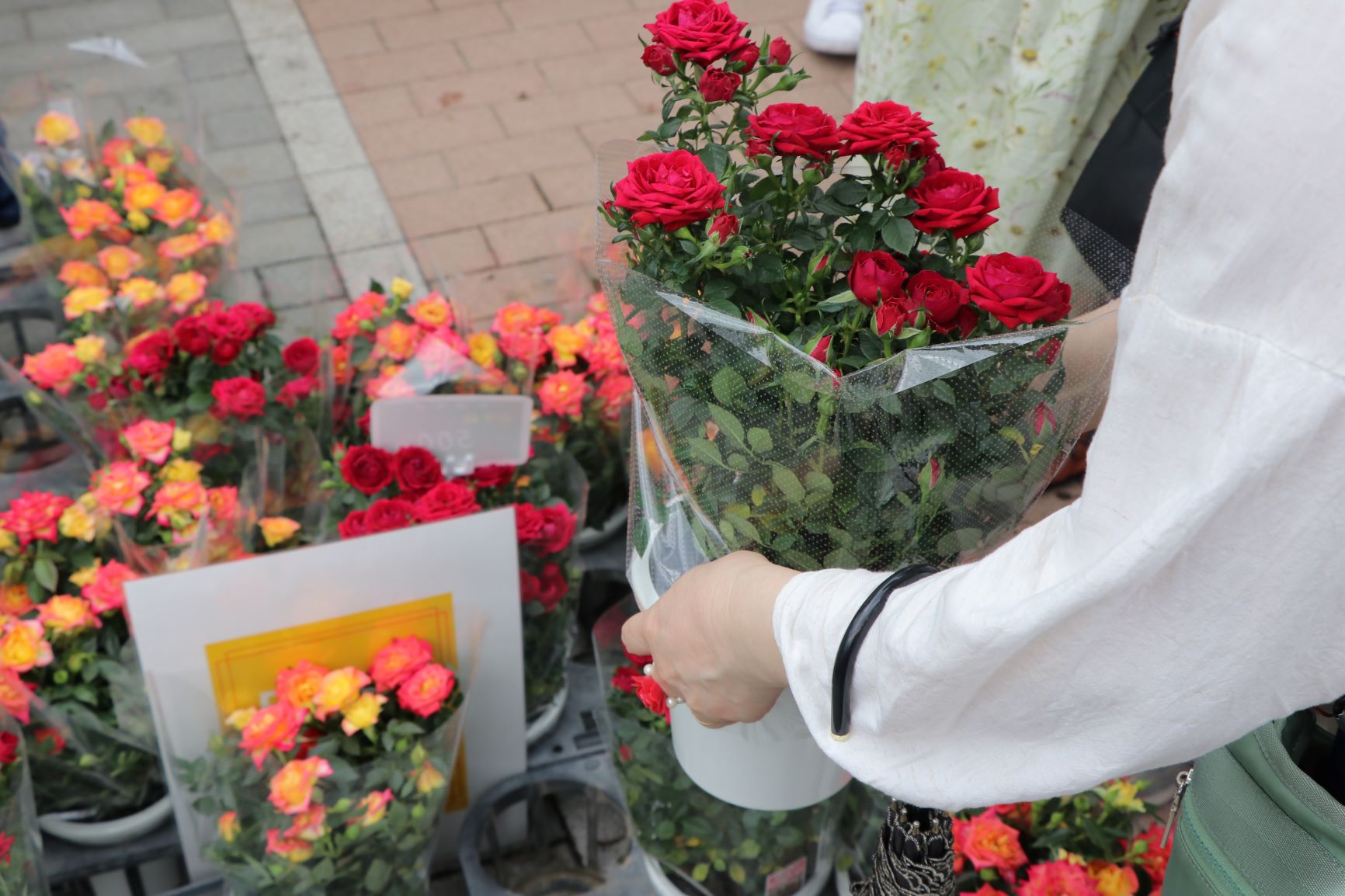 昨年度「あらかわバラの市」の様子2