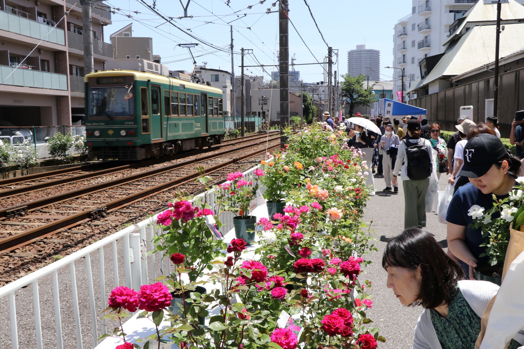 都電とあらかわバラの市