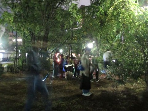 セミの羽化観察会