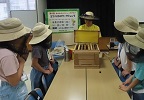 ミツバチのワークショップ