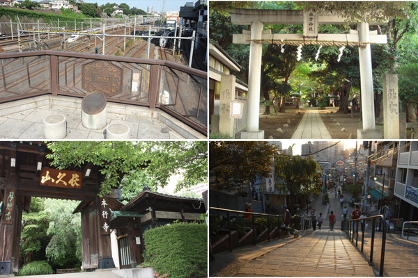 4_花の寺町コース