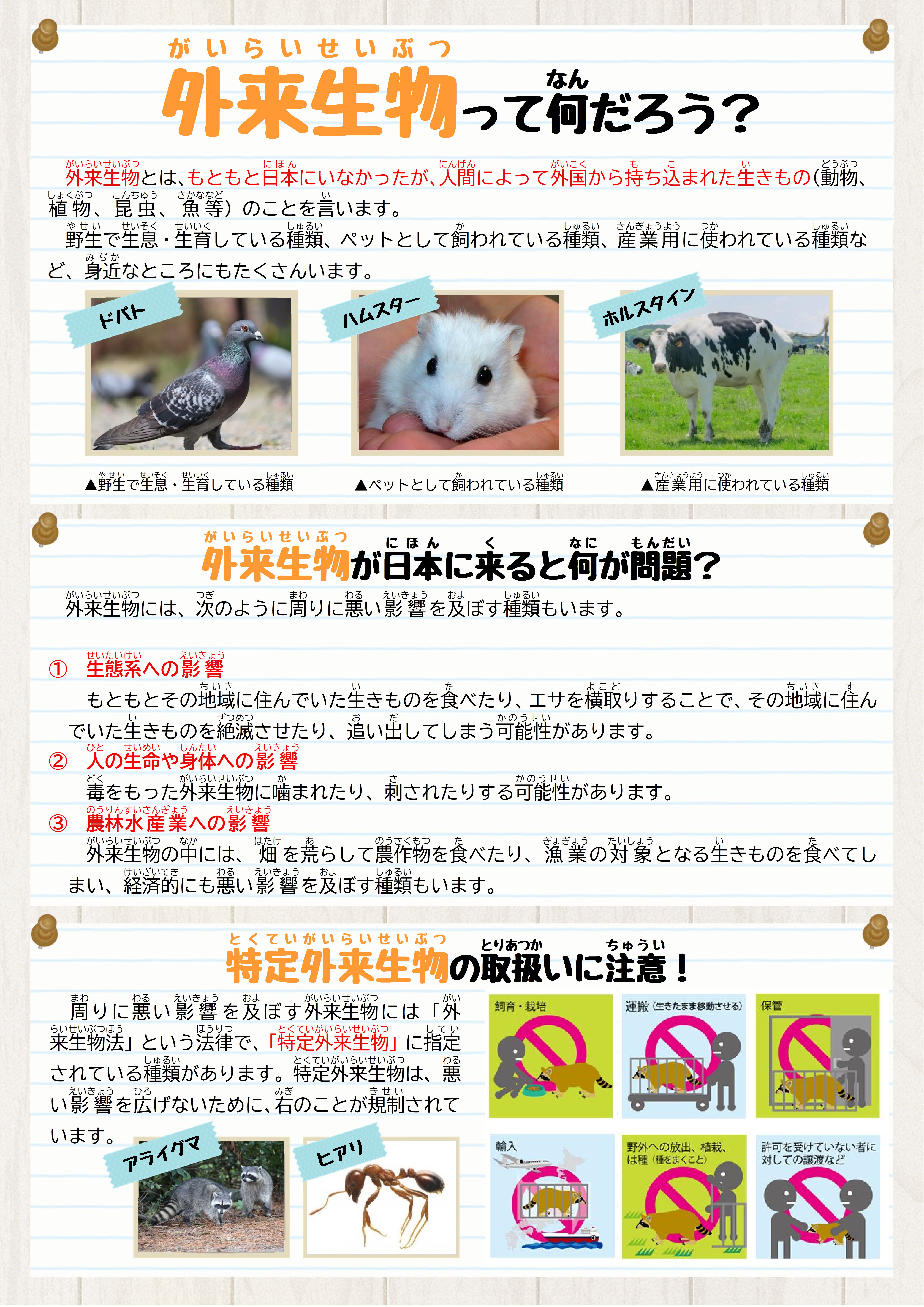 外来生物って何だろう