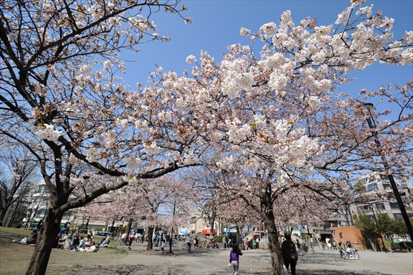6_日暮里南公園