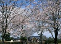 荒川自然公園の写真