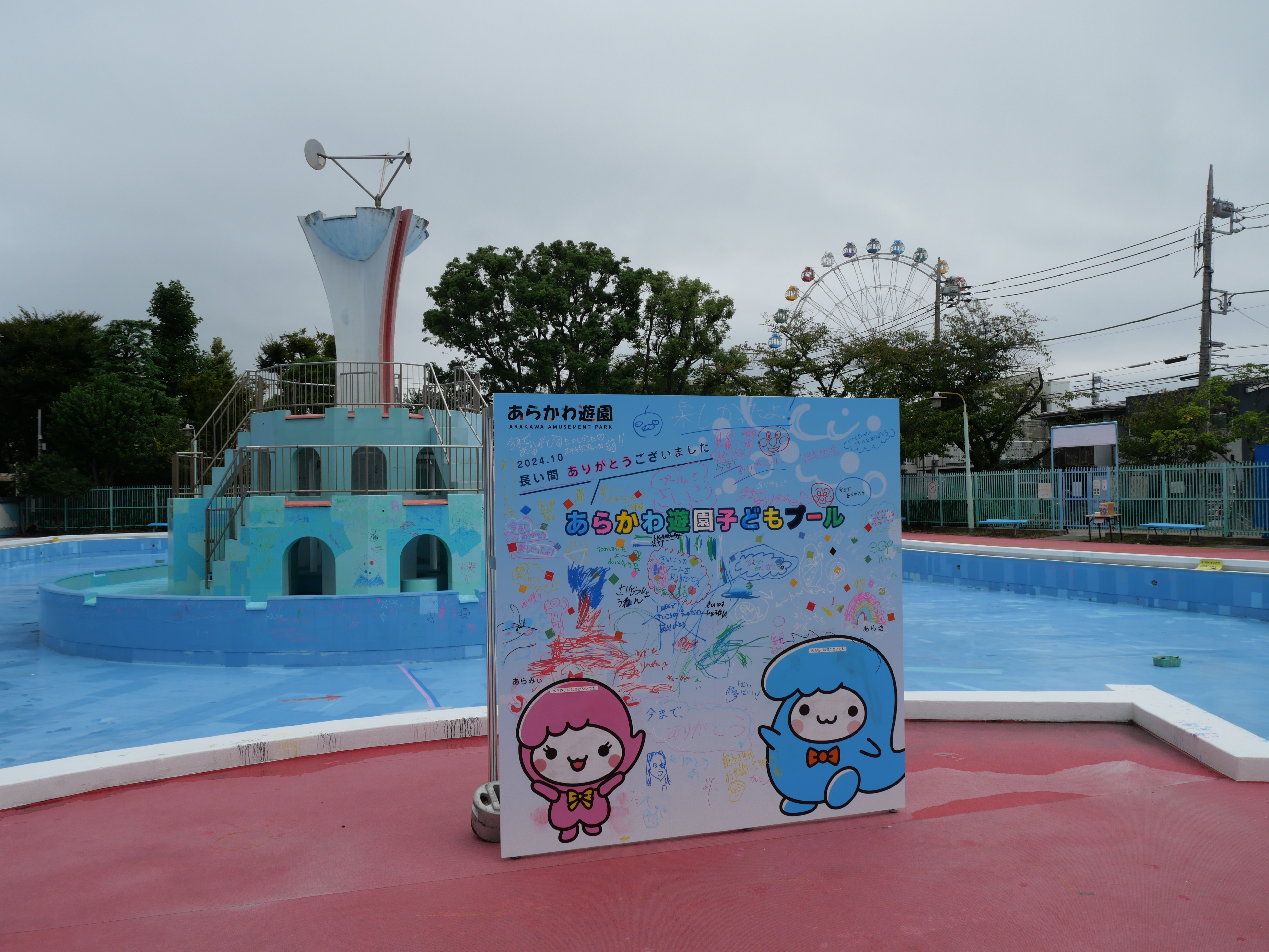 写真5