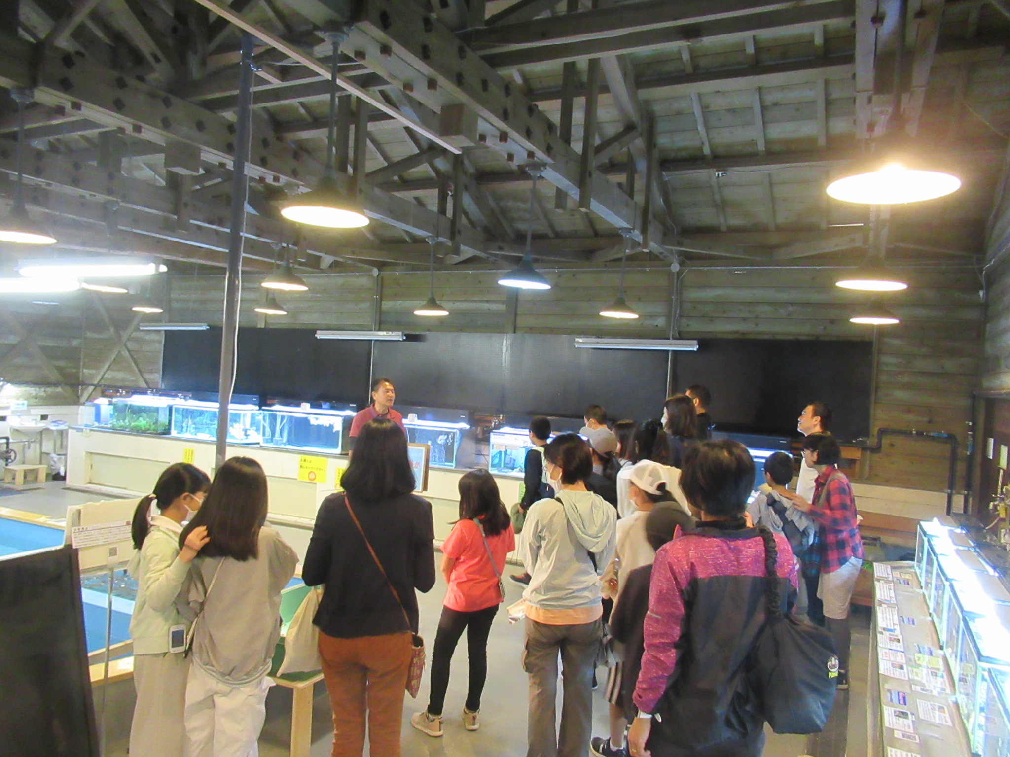 イヨボヤ会館1