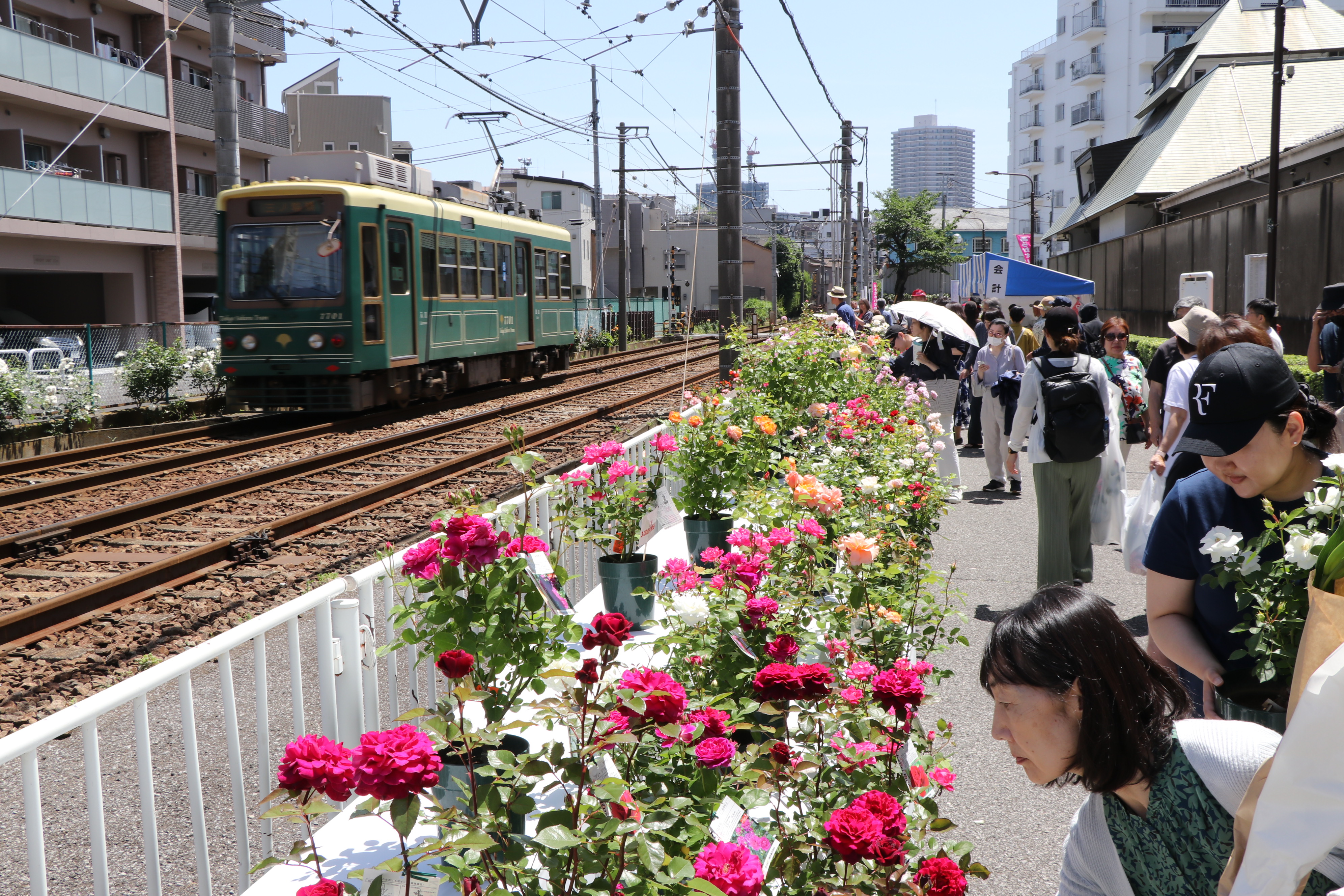 昨年度「あらかわバラの市」の様子