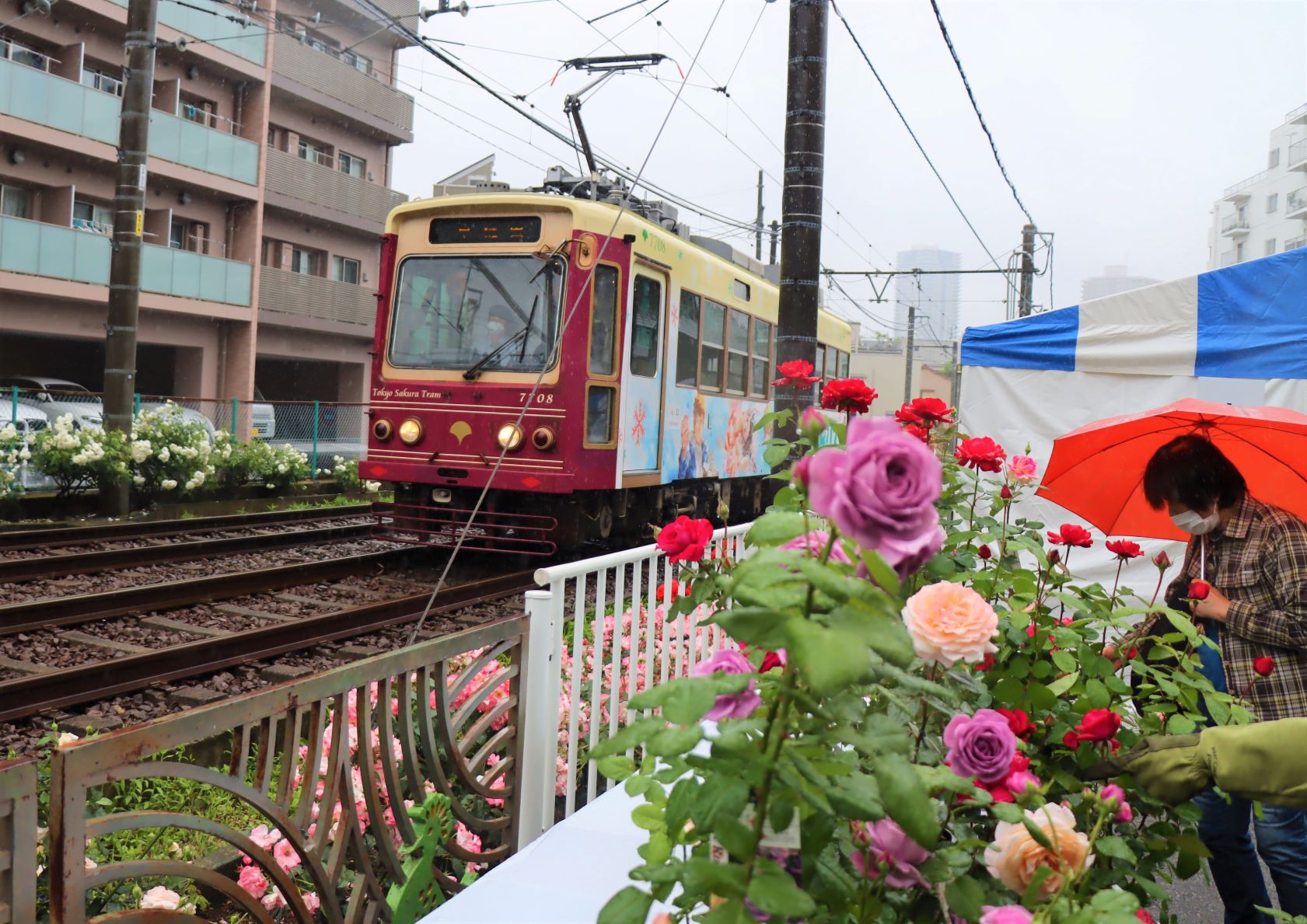 都電とあらかわバラの市
