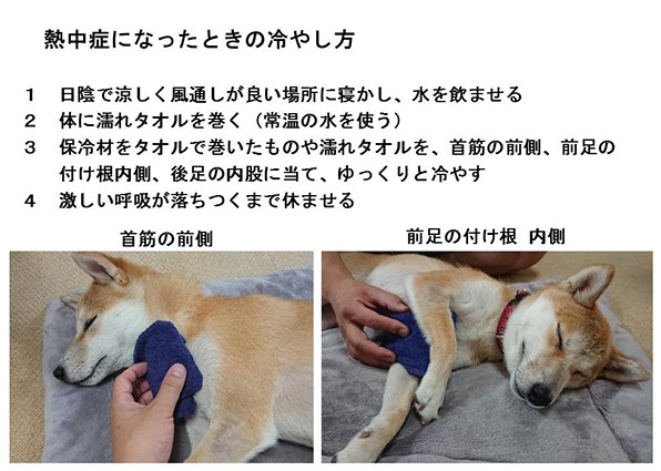 熱中症