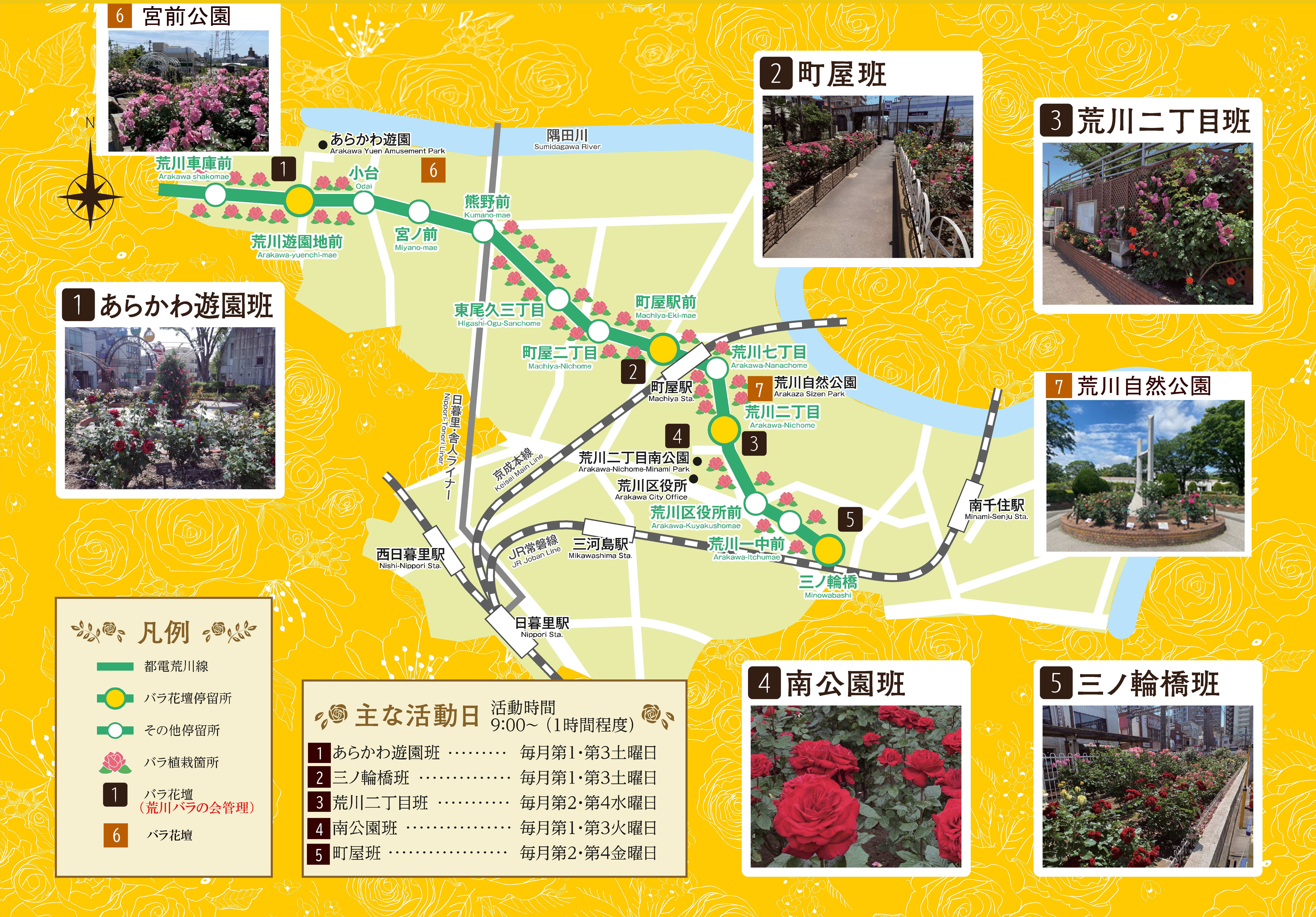 バラ花壇