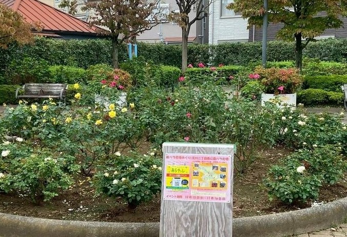 荒川二丁目南バラ花壇