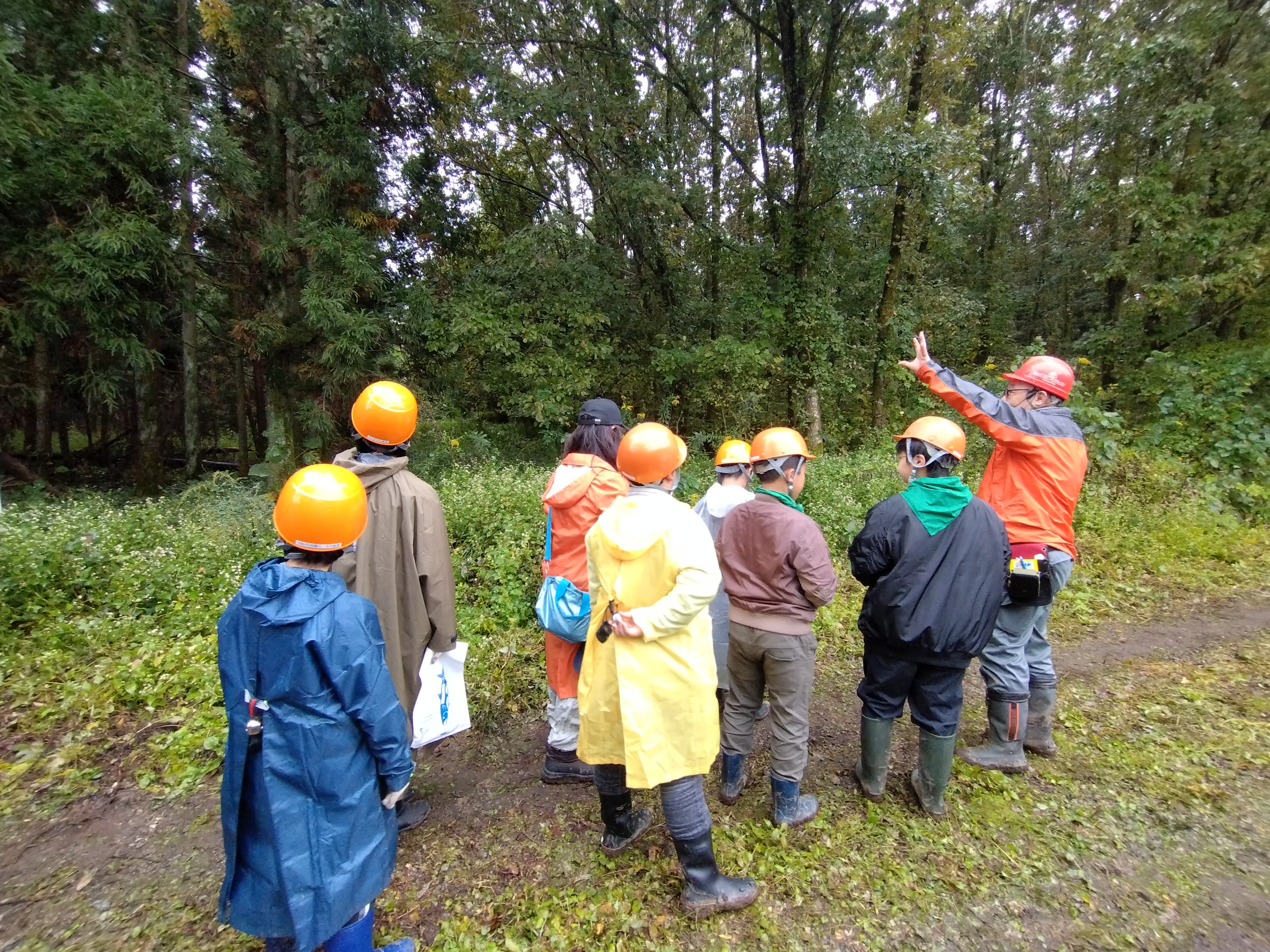 さけの森林づくり写真